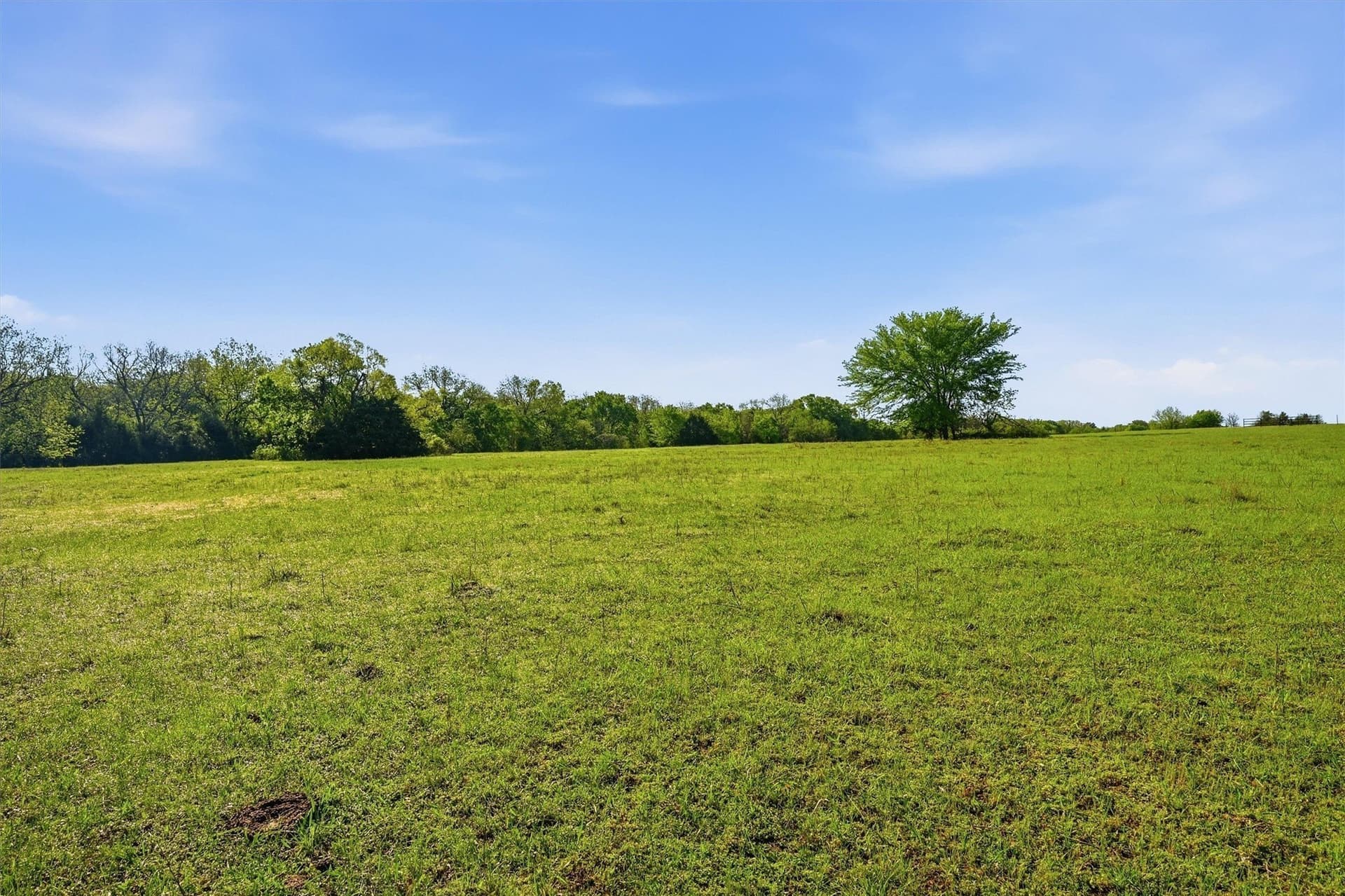 10.5 acres in Grayson County - photo 9