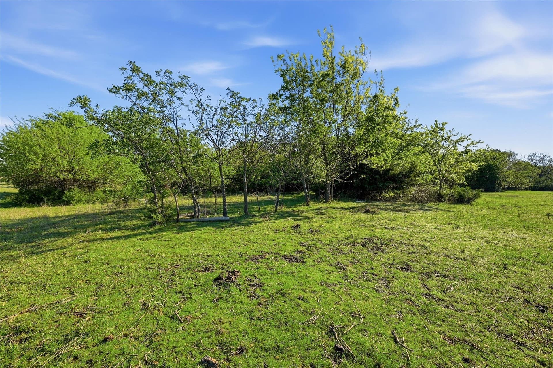 10.5 acres in Grayson County - photo 8