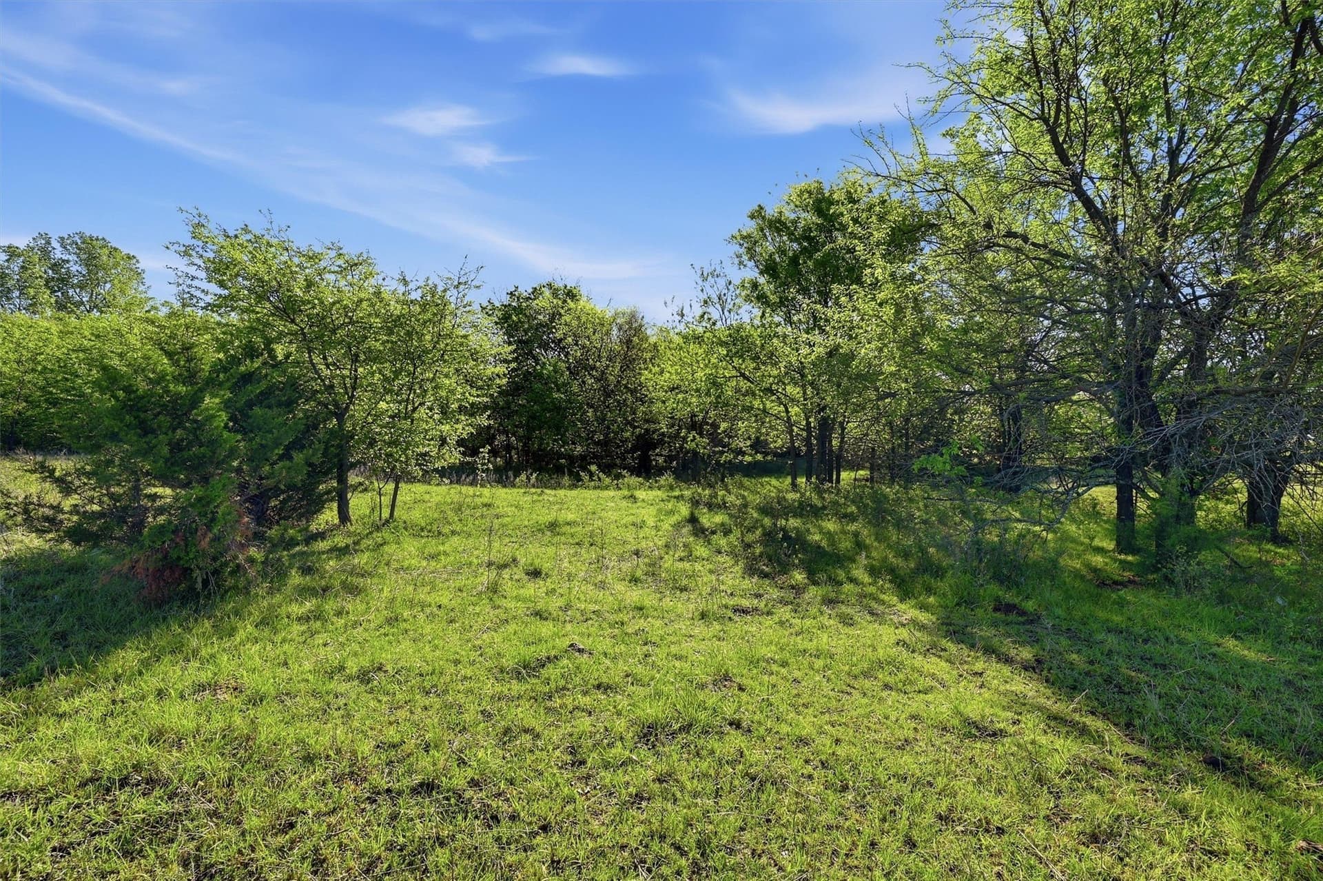 10.5 acres in Grayson County - photo 10