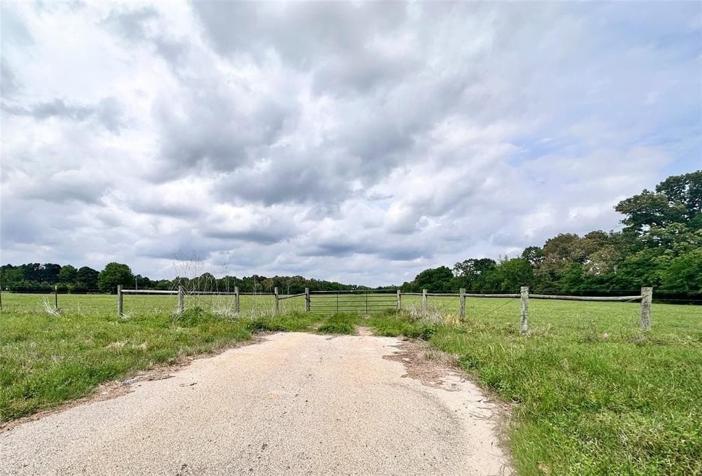 32.55 acres in Anderson County gallery image 4