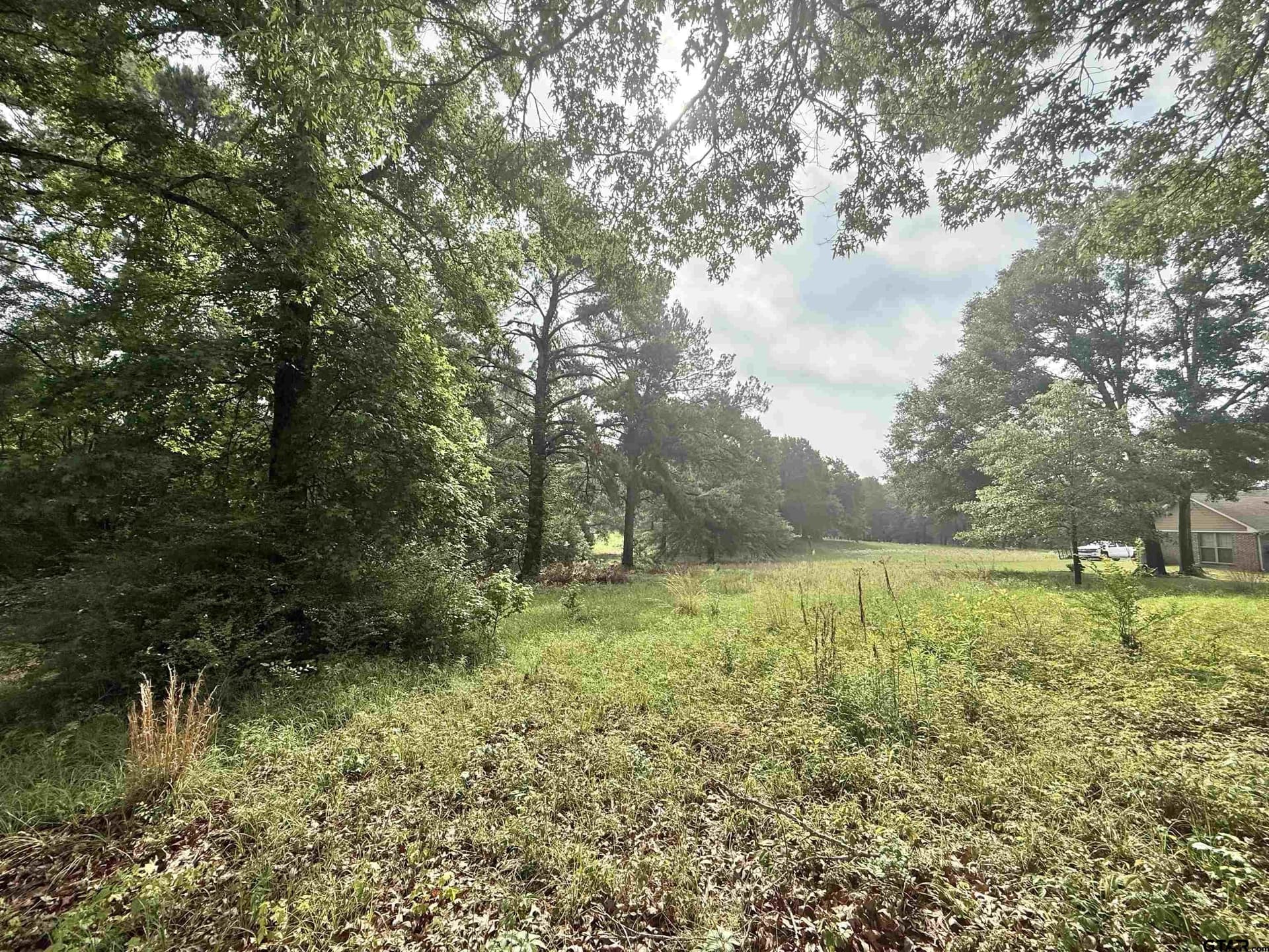 3 acres in Cherokee County gallery image 2