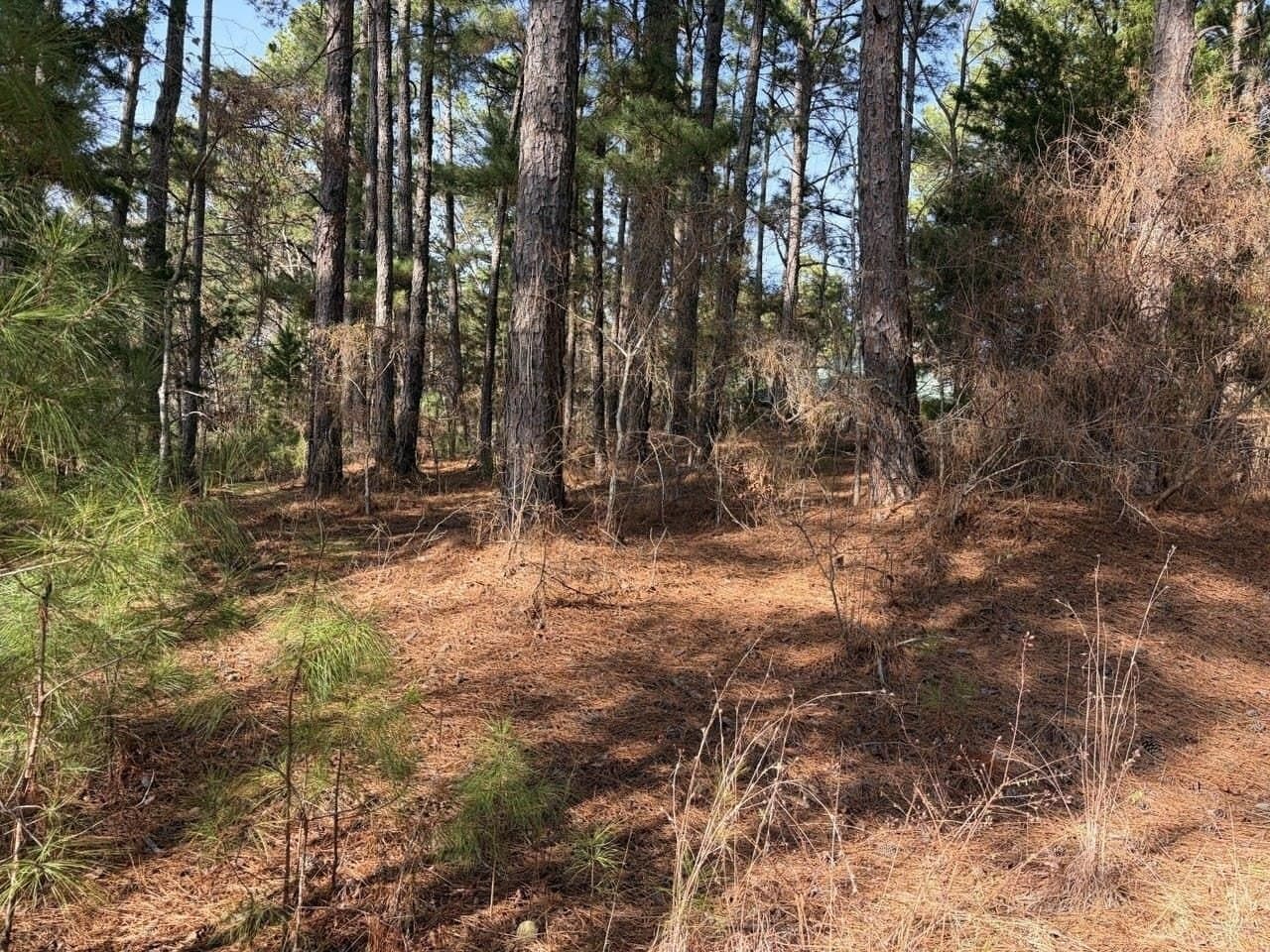 0.42 acres in Smith County gallery image 4