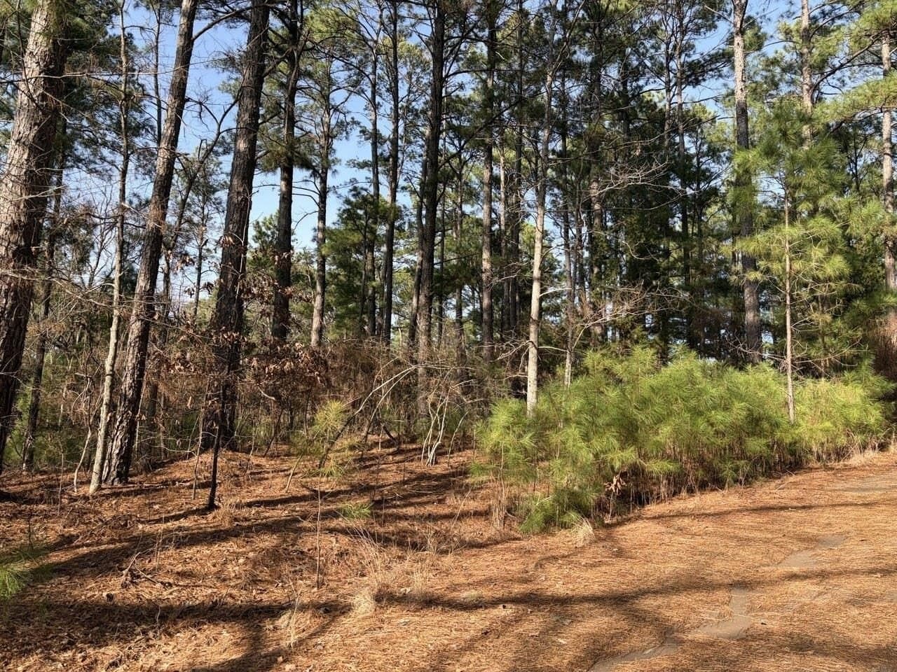 0.42 acres in Smith County featured view
