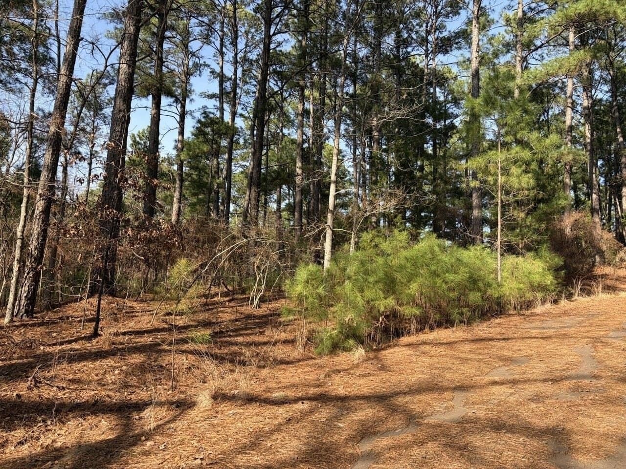 0.42 acres in Smith County gallery image 3