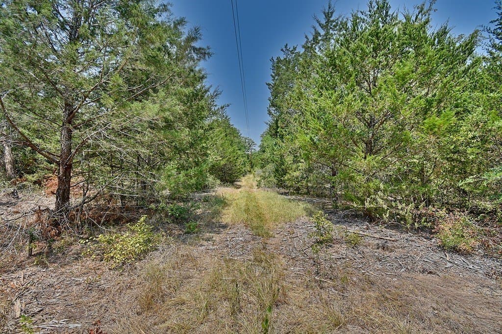 4 acres in Burleson County - photo 17