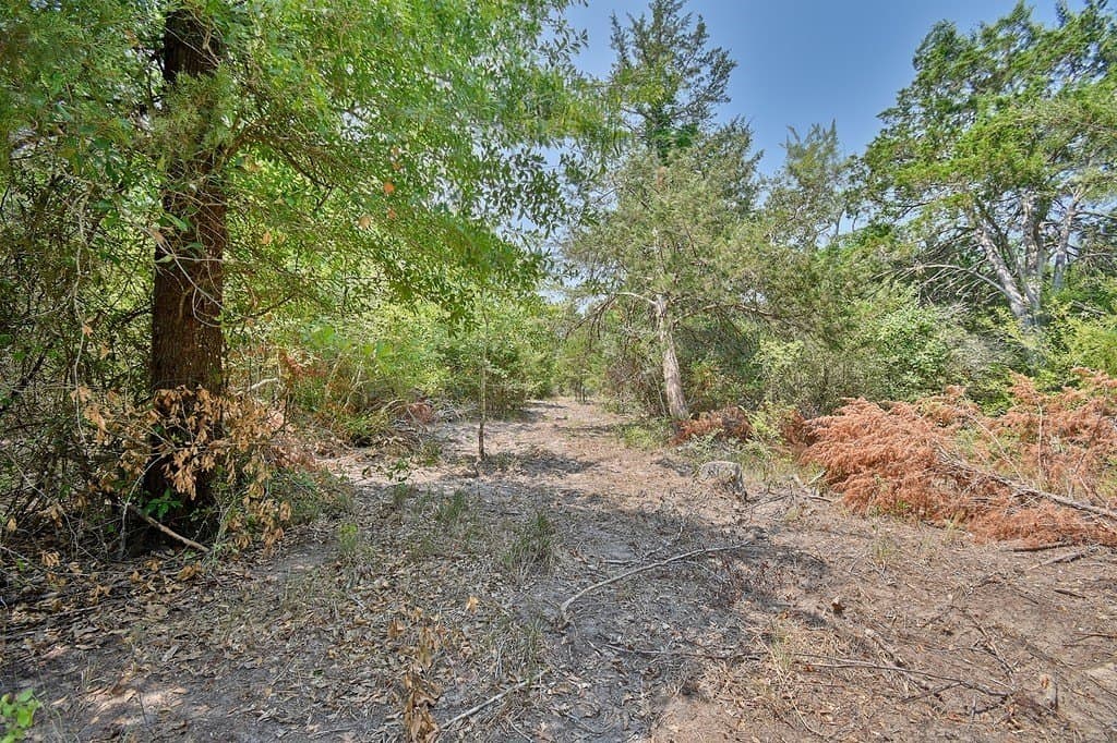 4 acres in Burleson County - photo 8