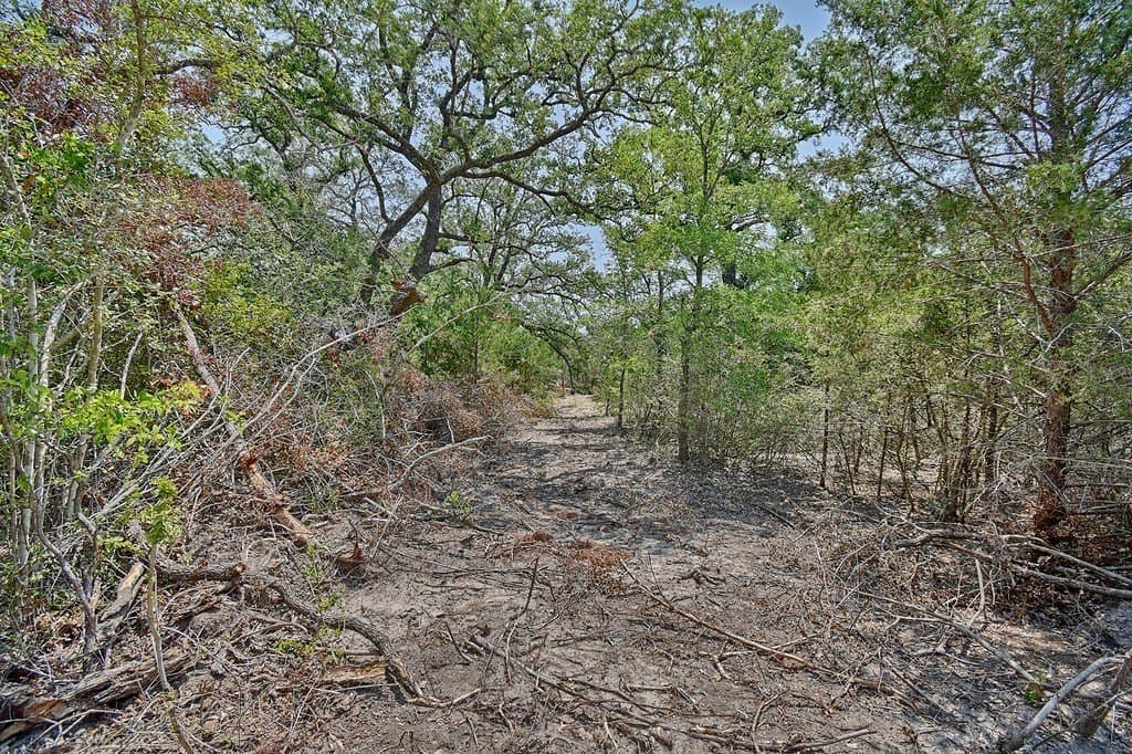 4 acres in Burleson County - photo 15