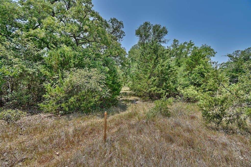 4 acres in Burleson County - photo 16