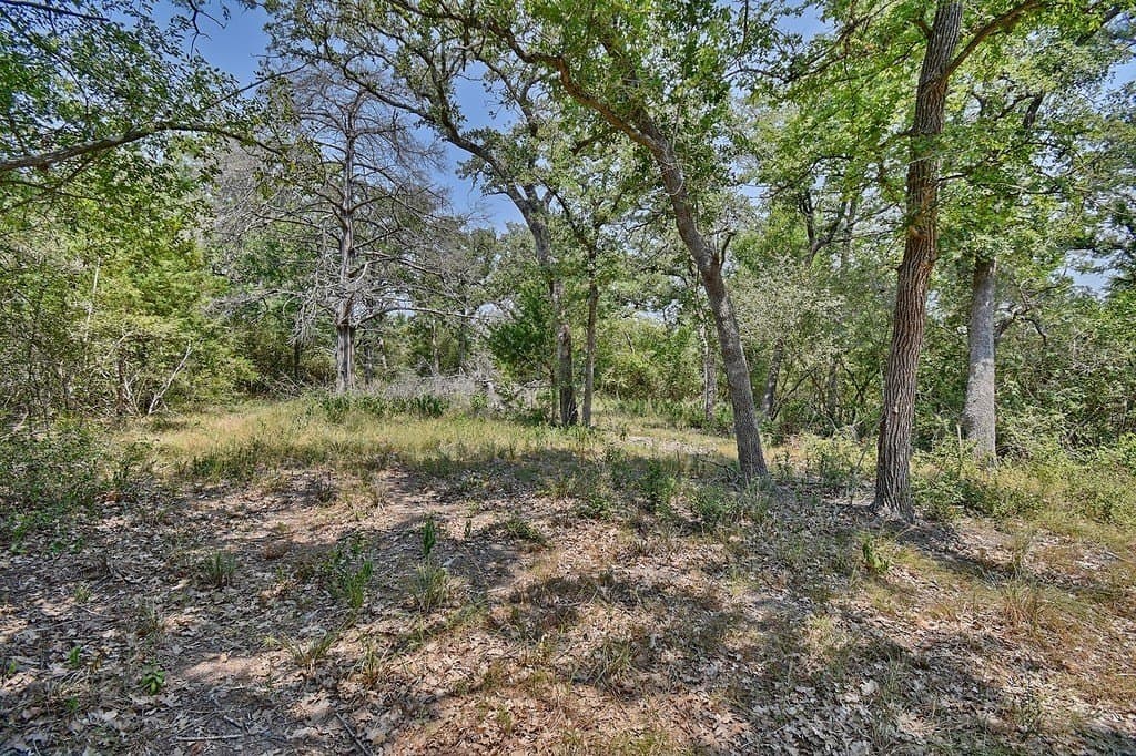 4 acres in Burleson County - photo 12