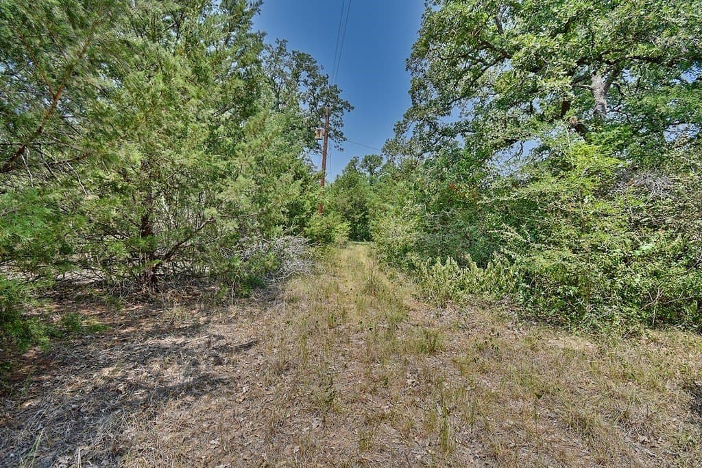 4 acres in Burleson County - photo 19