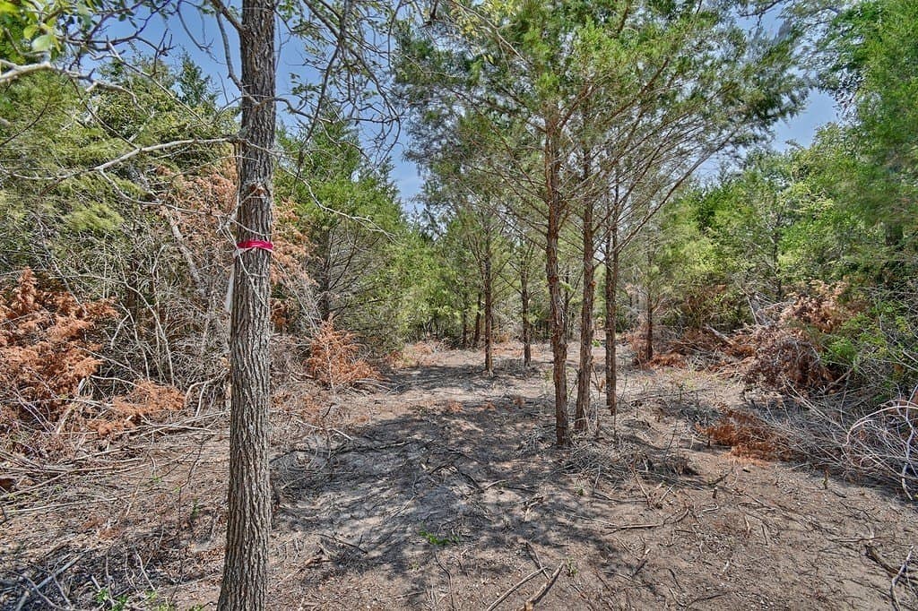 4 acres in Burleson County - photo 20