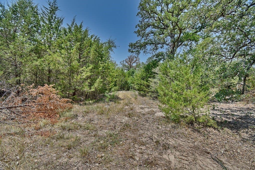 4 acres in Burleson County - photo 7