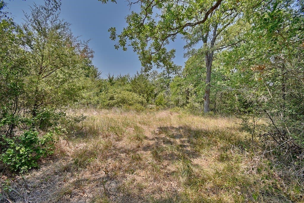 4 acres in Burleson County - photo 6