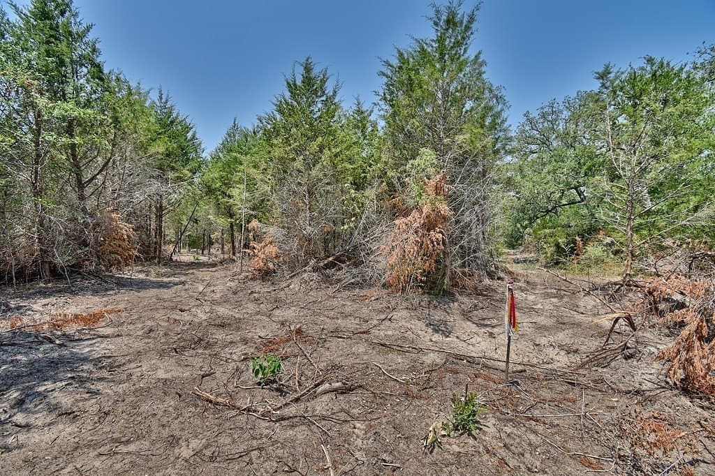 4 acres in Burleson County - photo 13