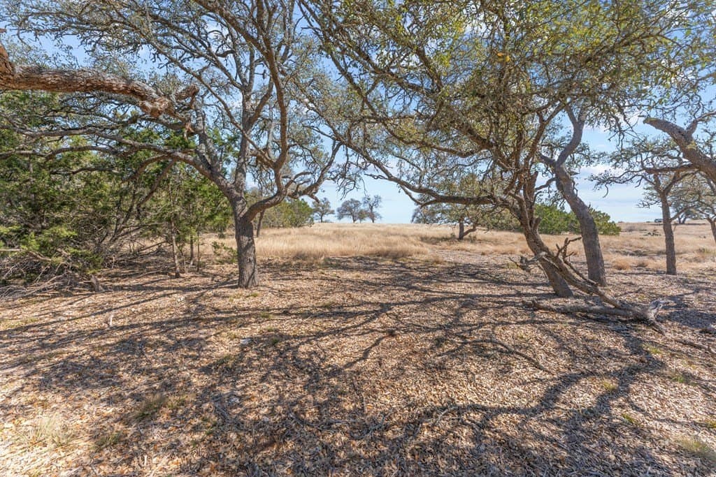 3.05 acres in Gillespie County gallery image 3