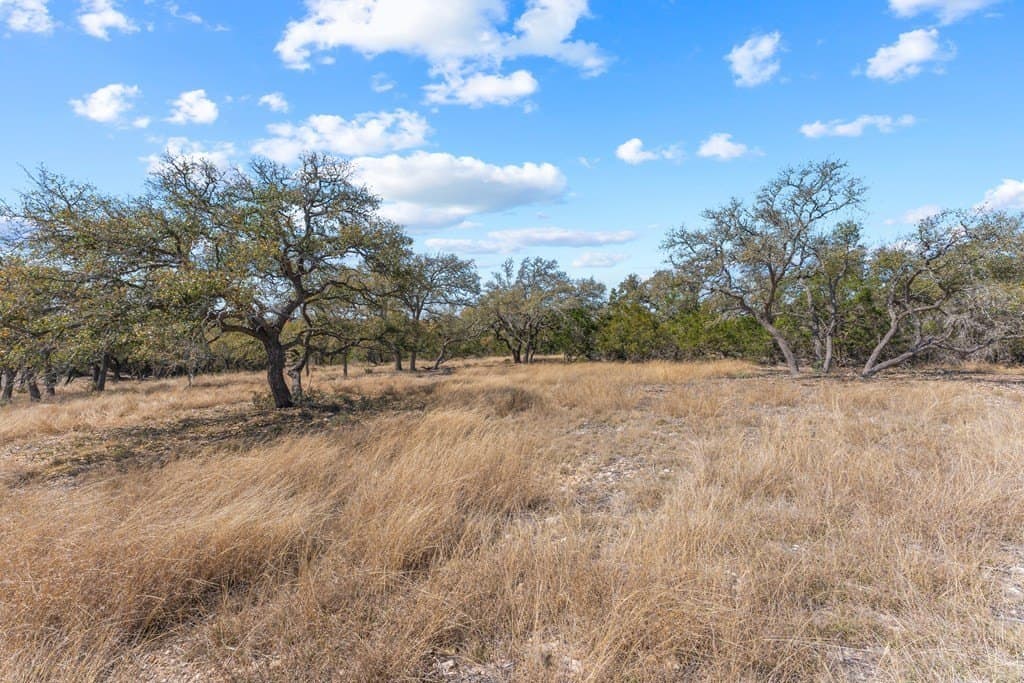 3.05 acres in Gillespie County gallery image 4