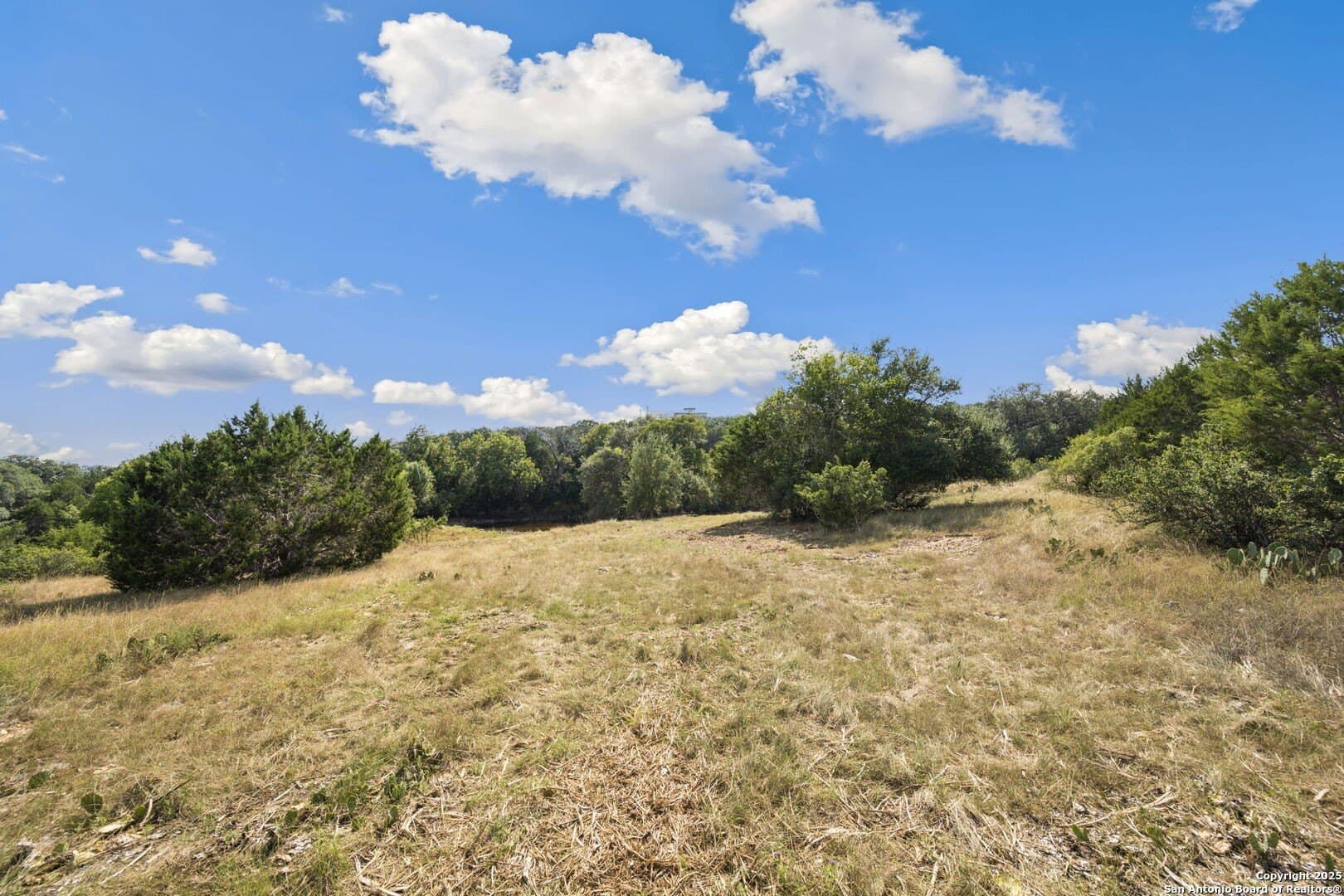 4.13 acres in Comal County gallery image 4