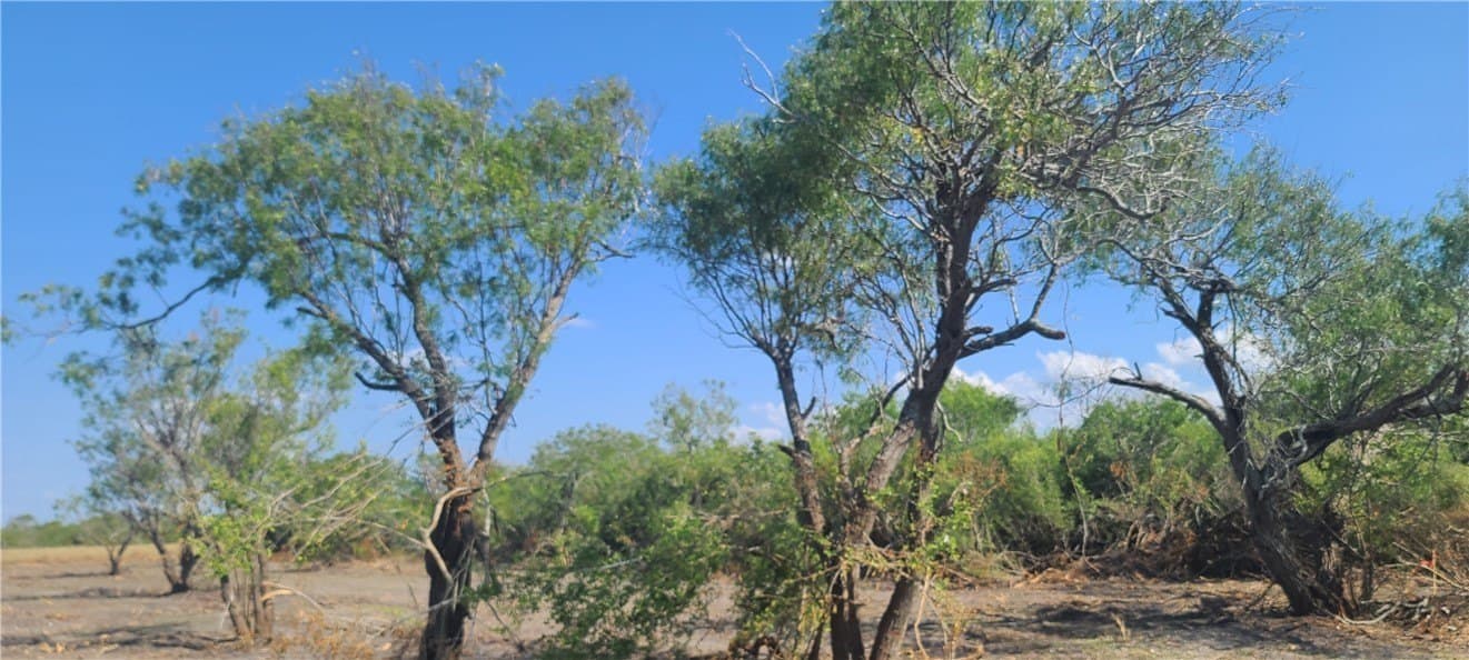 0 acres in Refugio County featured view