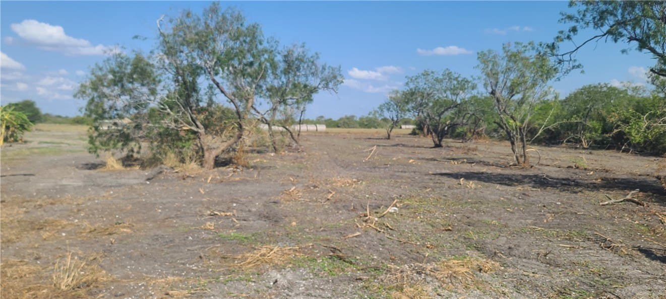 0 acres in Refugio County gallery image 3
