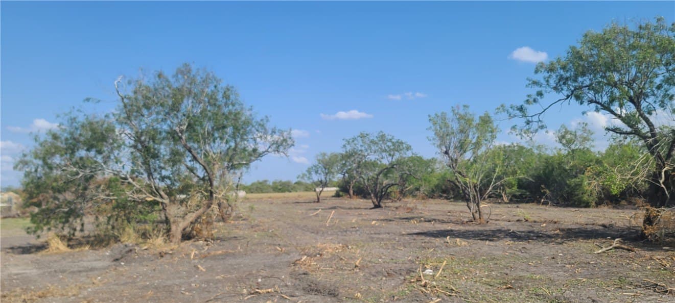 0 acres in Refugio County - photo 7