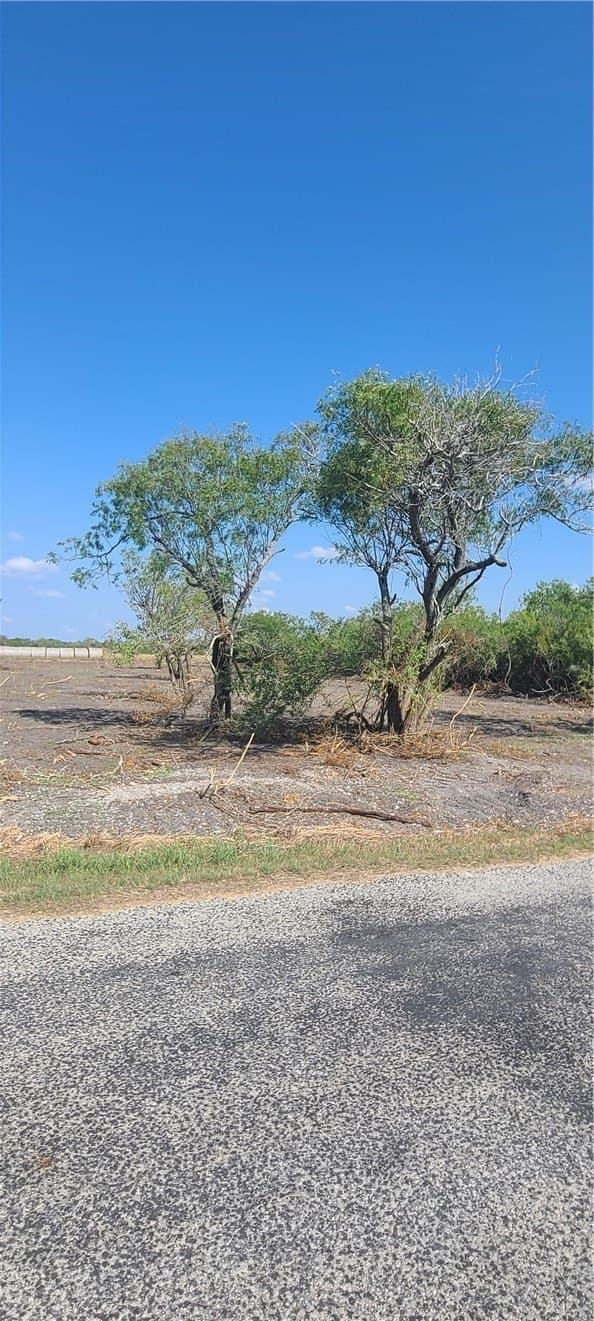 0 acres in Refugio County - photo 8