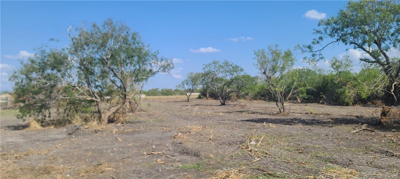 0 acres in Refugio County - photo 6