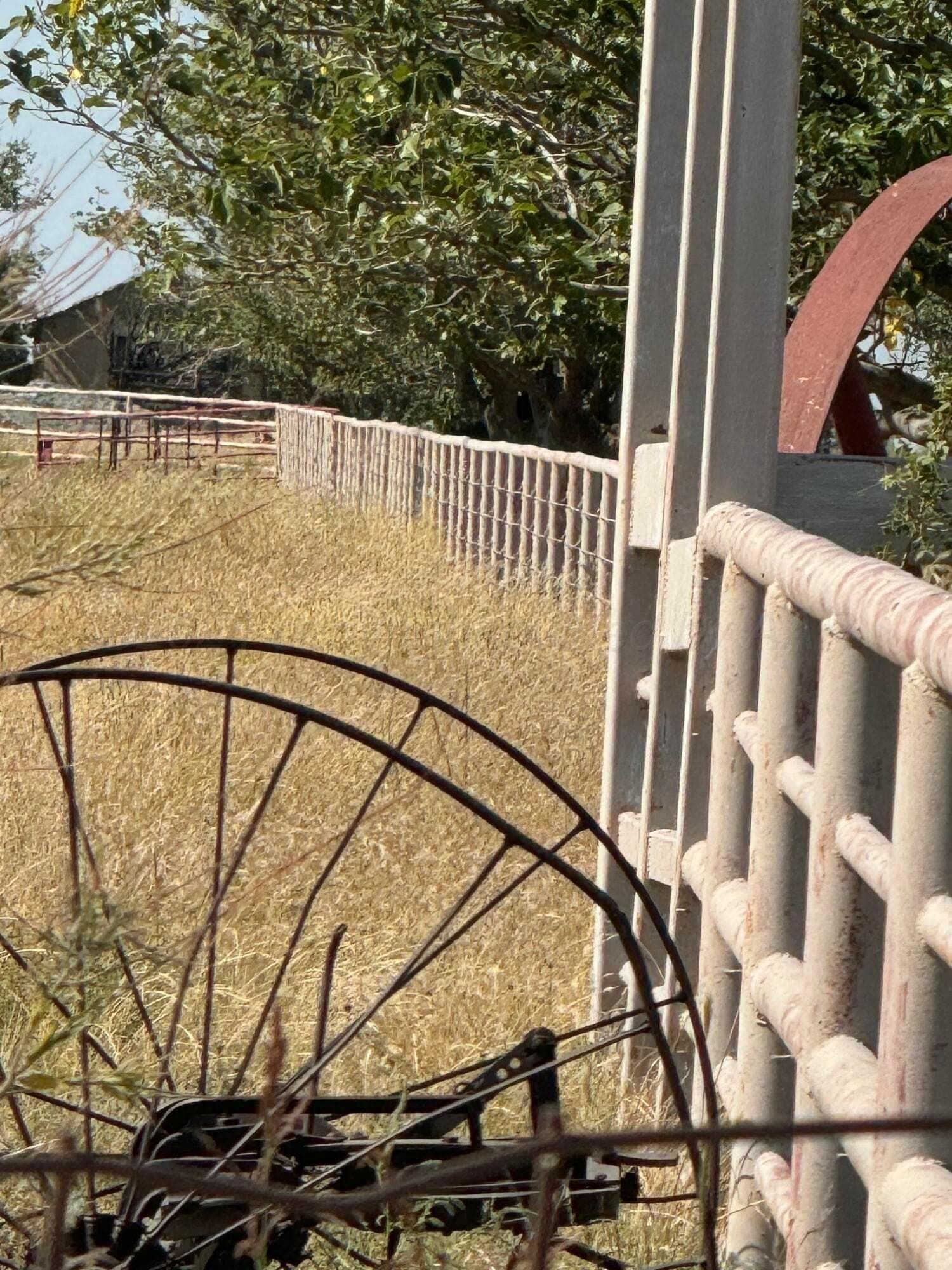 20.84 acres in Lubbock County featured view