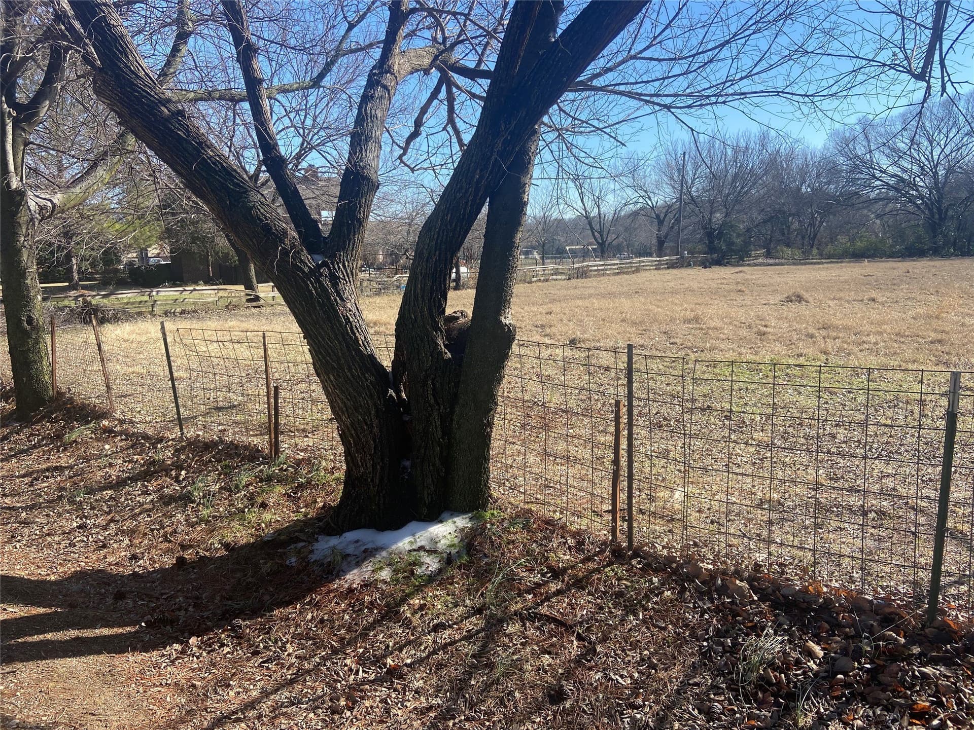0.42 acres in Denton County gallery image 2