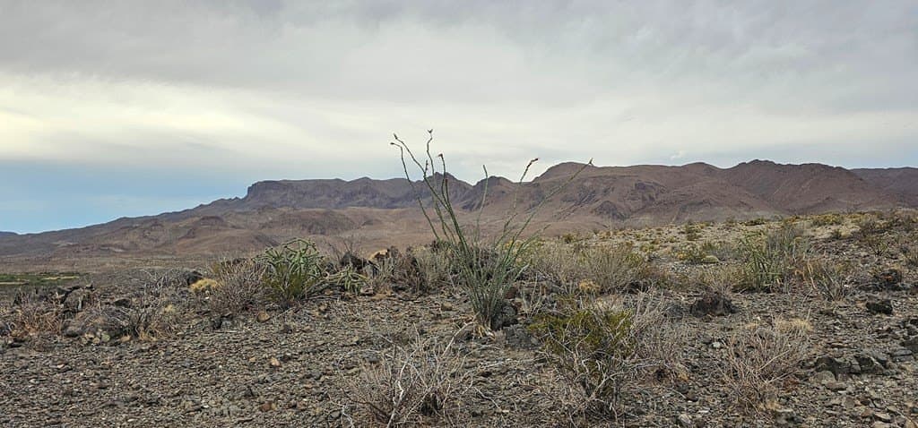 35 acres in Brewster County - photo 25