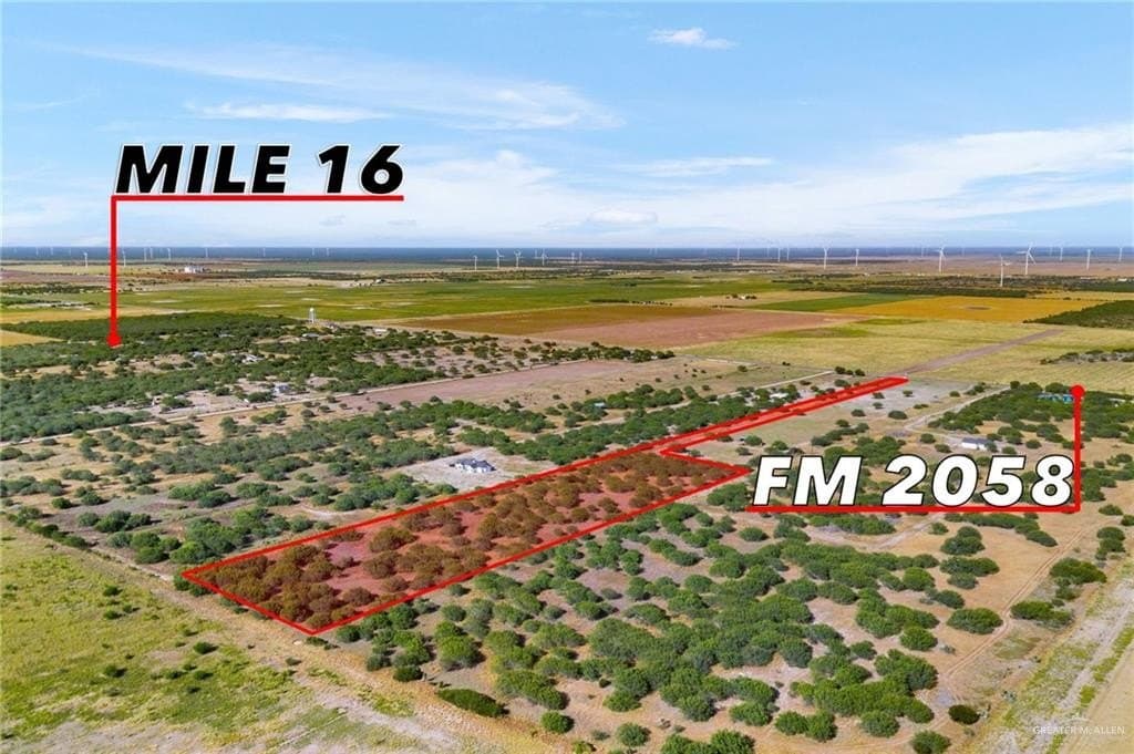10.23 acres in Hidalgo County gallery image 2