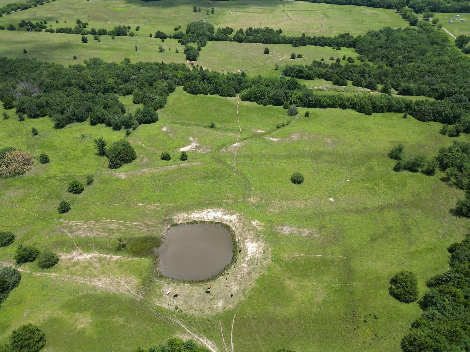 75.98 acres in Hopkins County gallery image 3