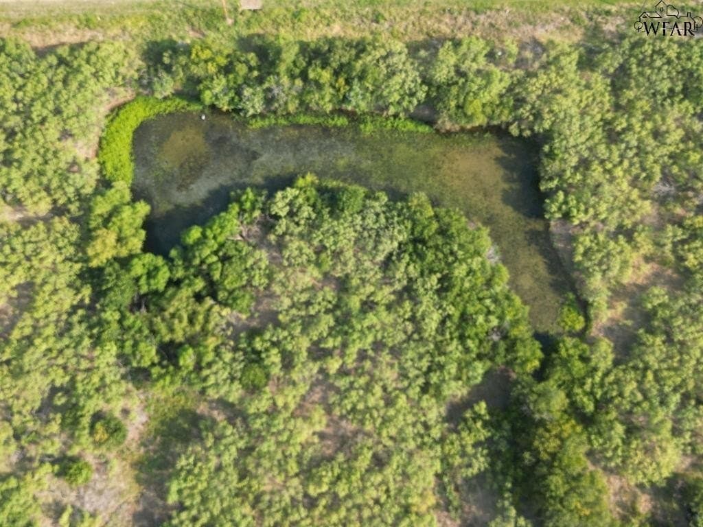 12.71 acres in Wichita County - photo 6