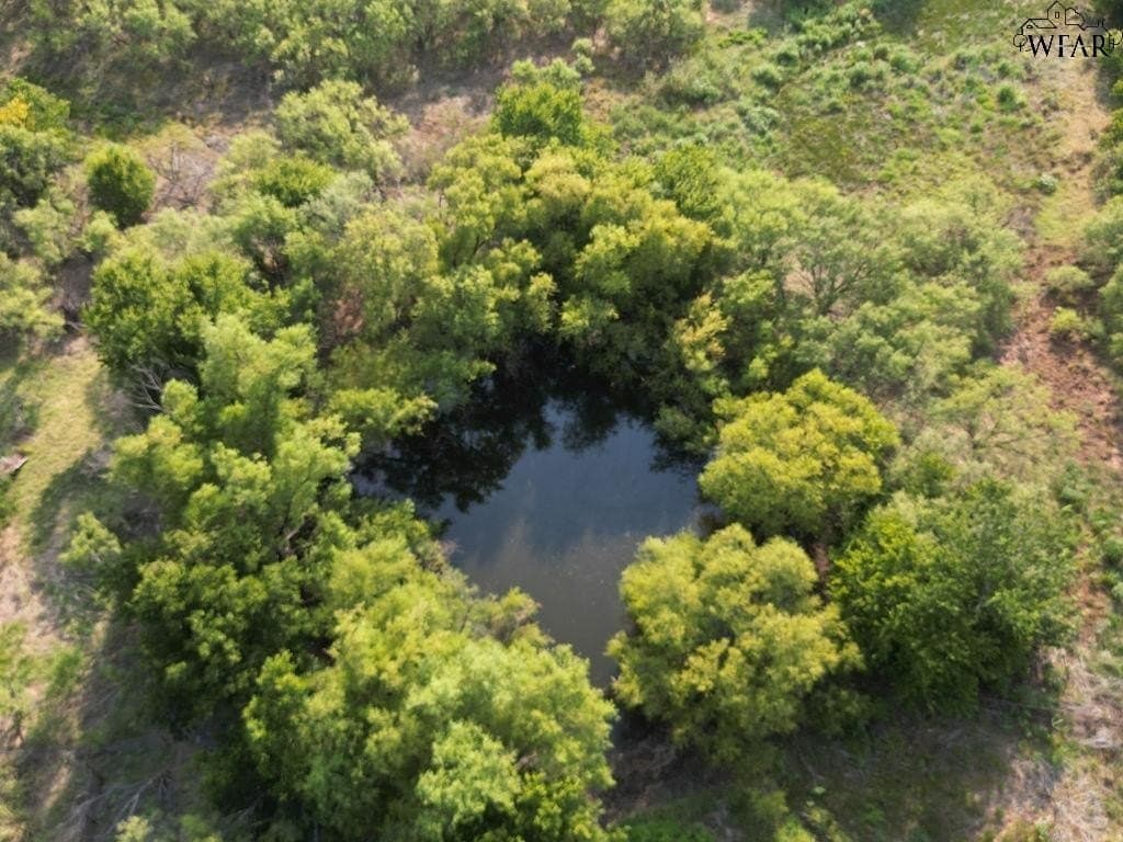 12.71 acres in Wichita County - photo 8
