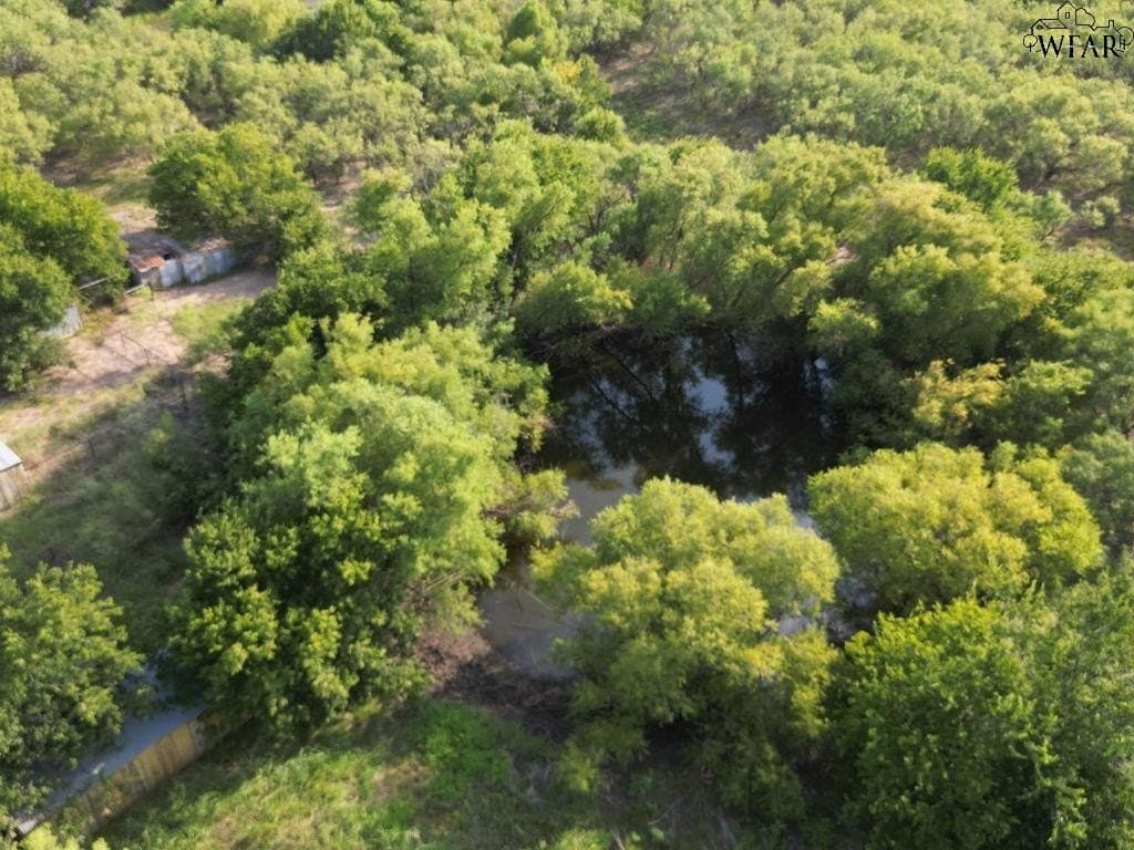12.71 acres in Wichita County - photo 9