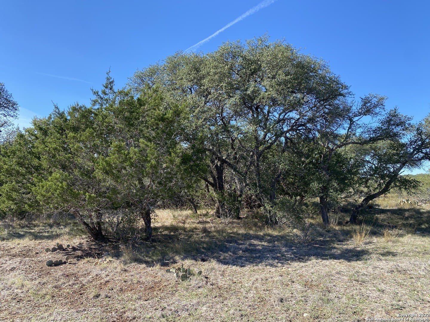 0.2 acres in Blanco County - photo 7