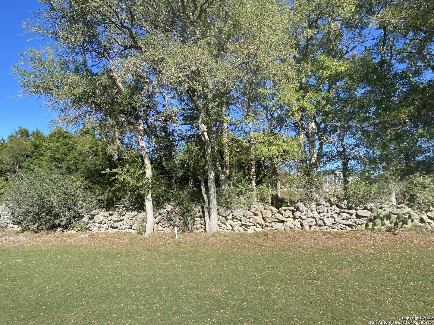 0.2 acres in Blanco County gallery image 4