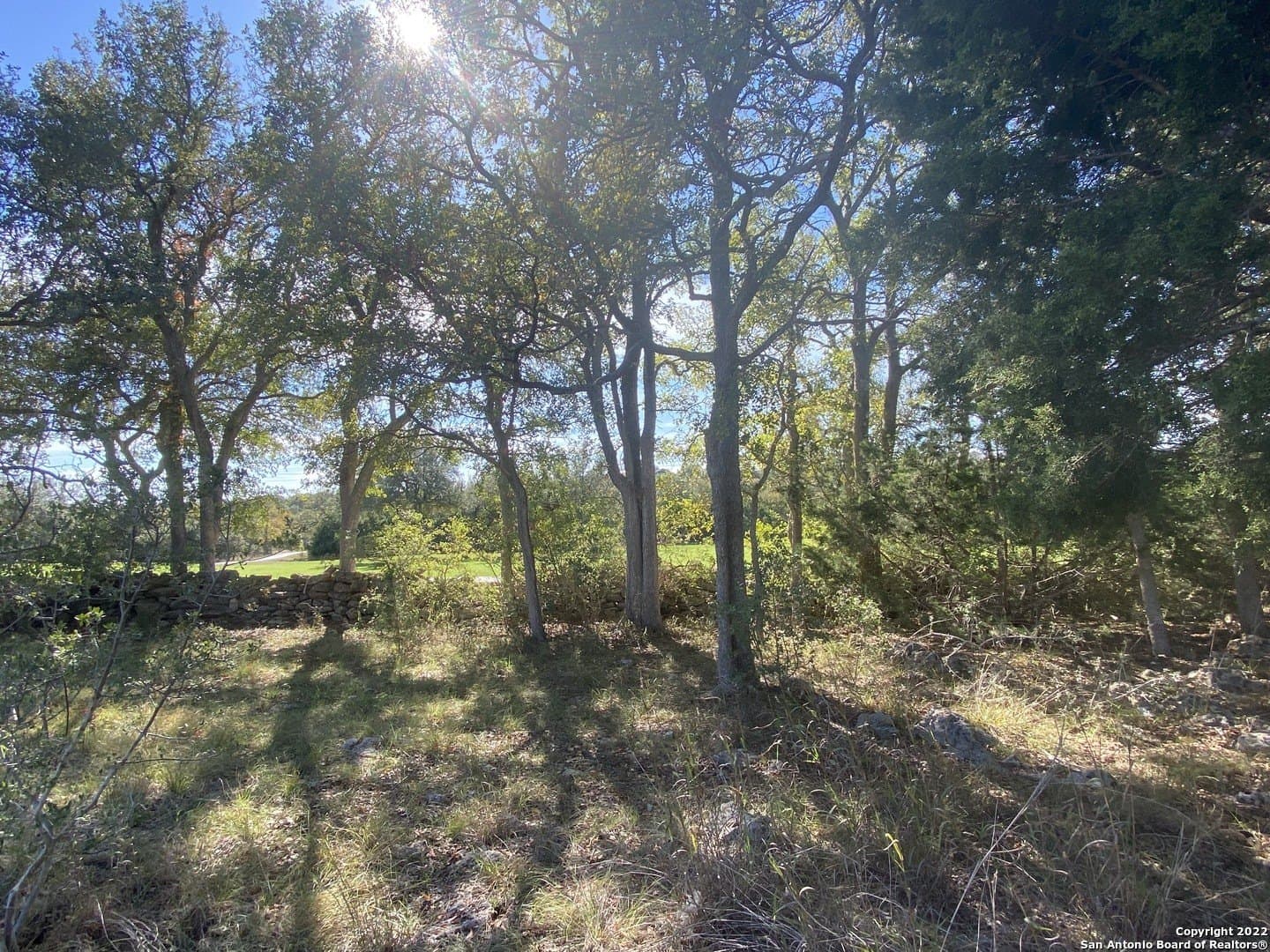 0.2 acres in Blanco County - photo 8
