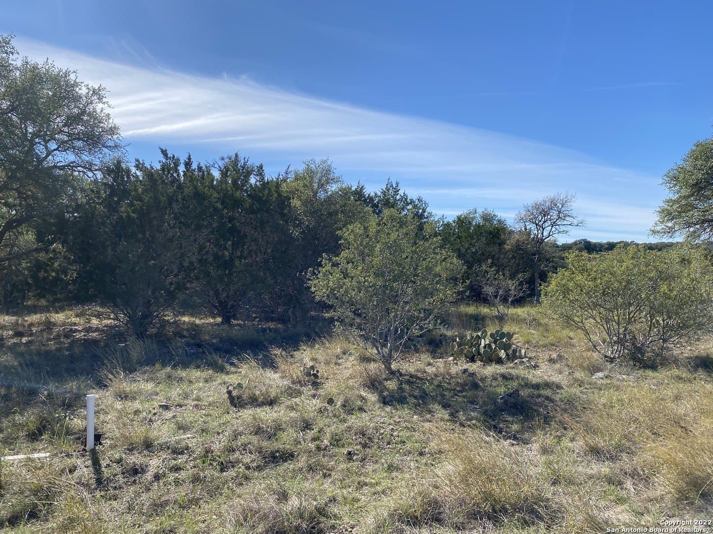 0.2 acres in Blanco County - photo 6
