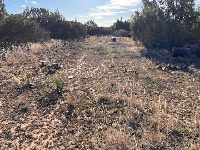 3.07 acres in Nolan County - photo 8