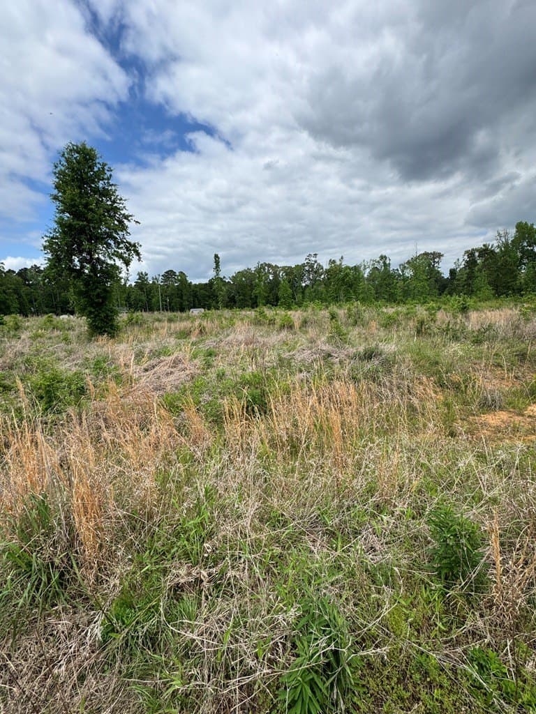 4.9 acres in Texas County gallery image 3