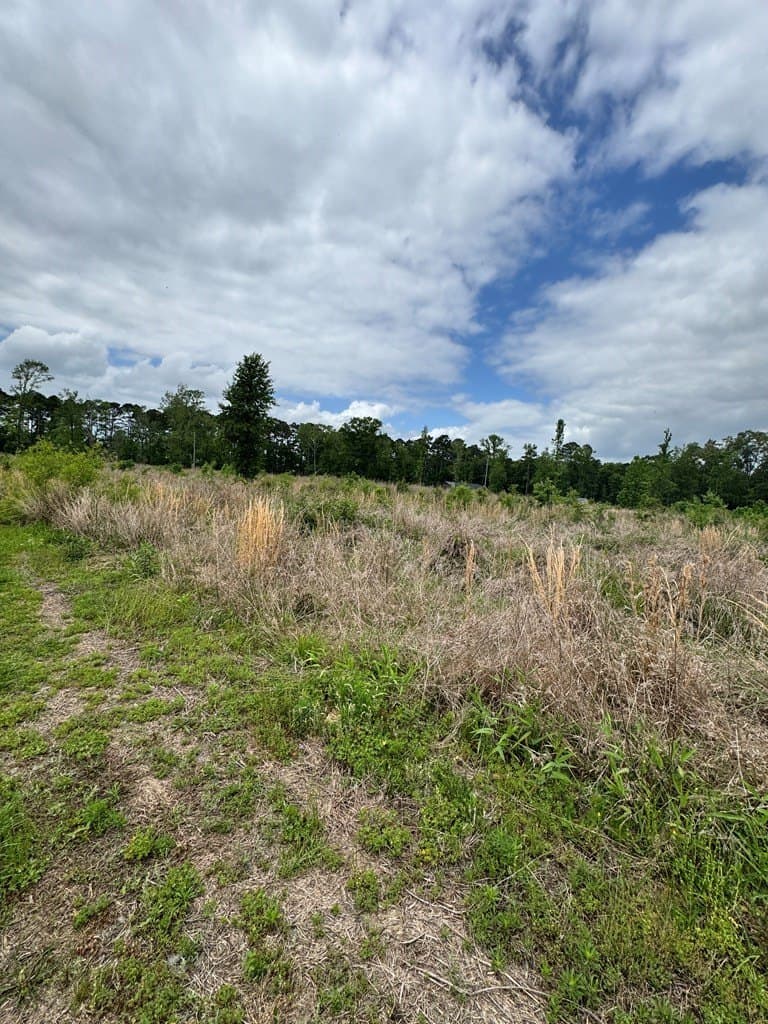 4.9 acres in Texas County gallery image 4