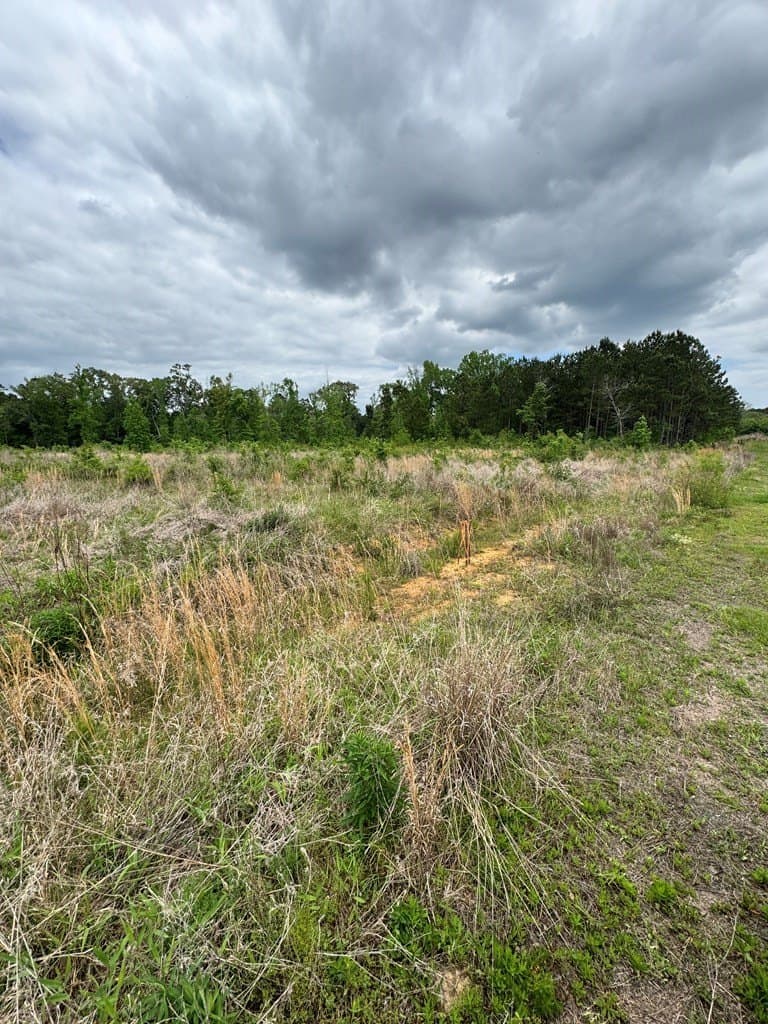 4.9 acres in Texas County gallery image 2