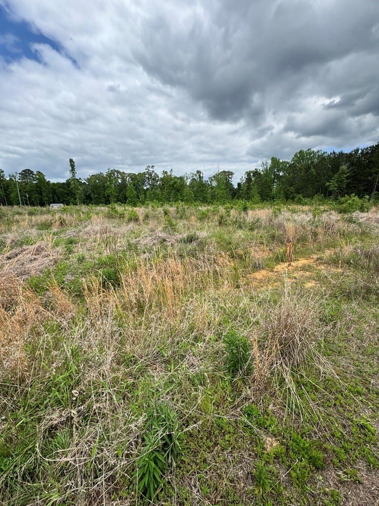 4.9 acres in Texas County featured view