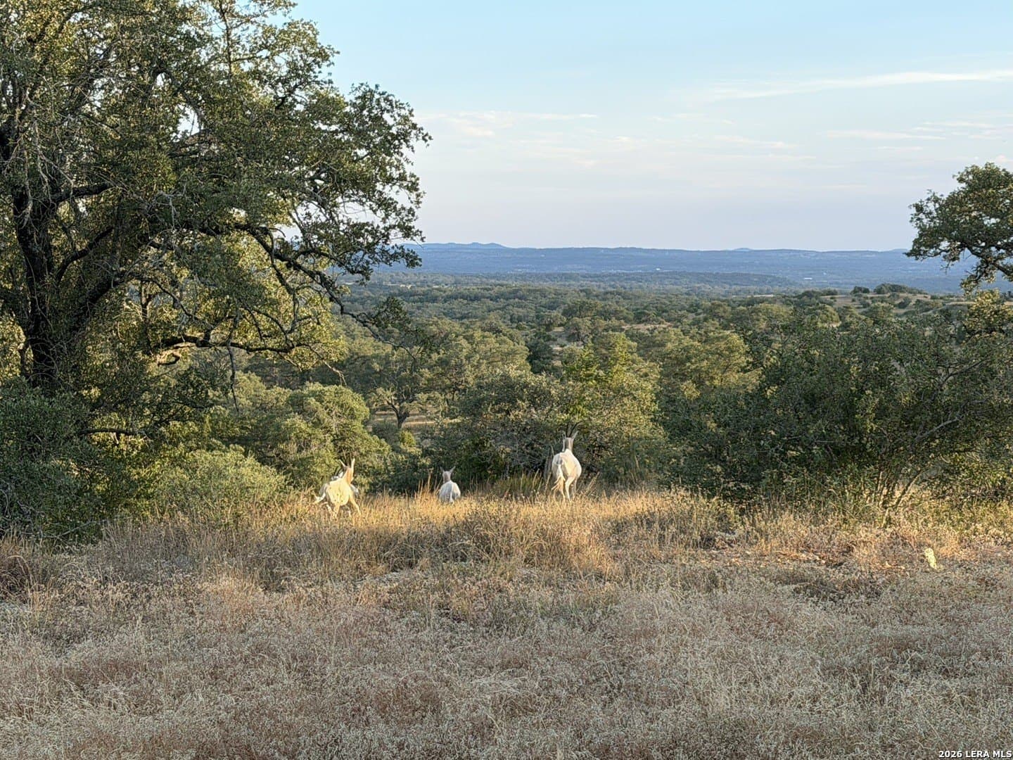 5.04 acres in Blanco County - photo 9