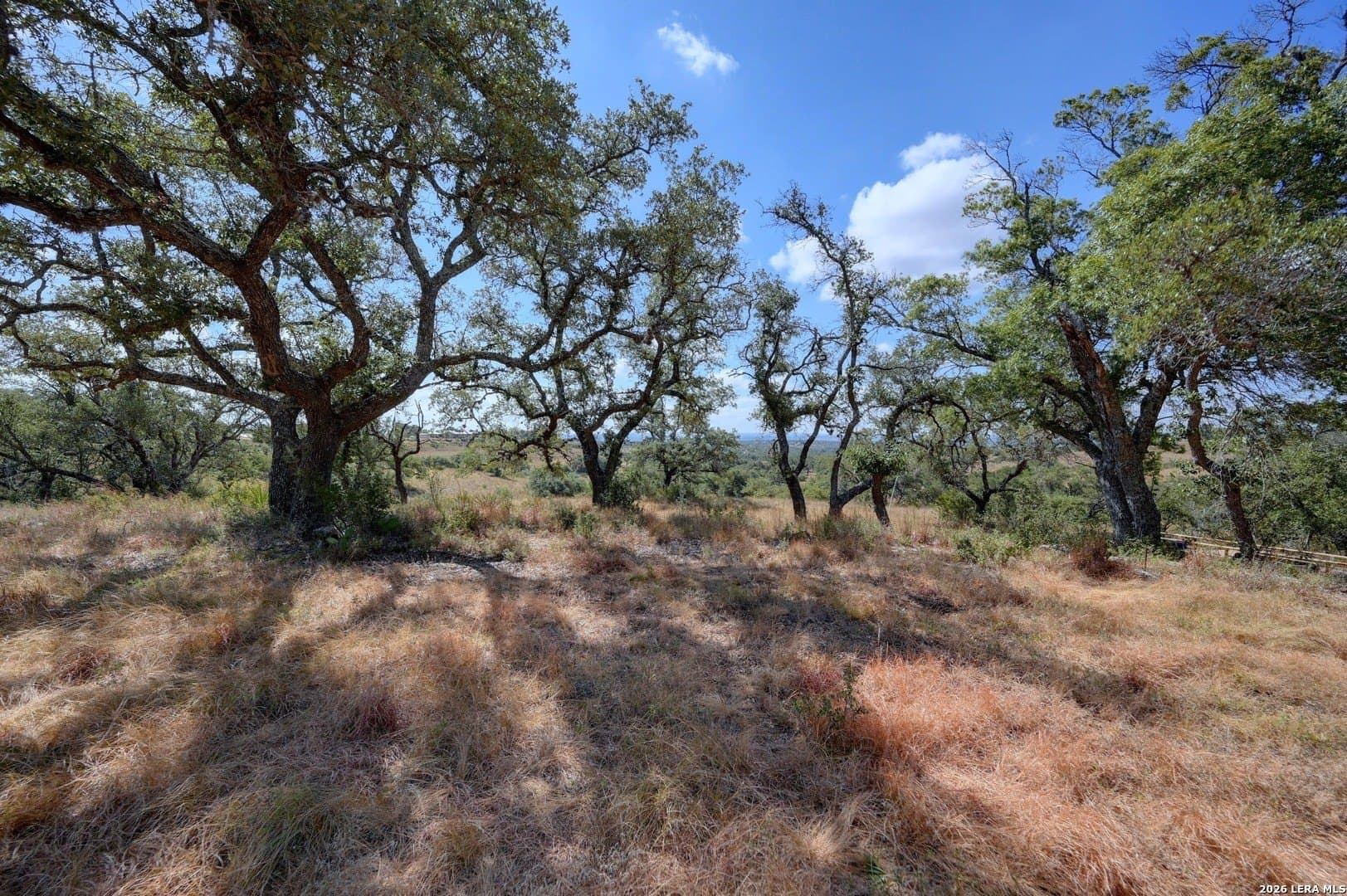 5.04 acres in Blanco County - photo 21