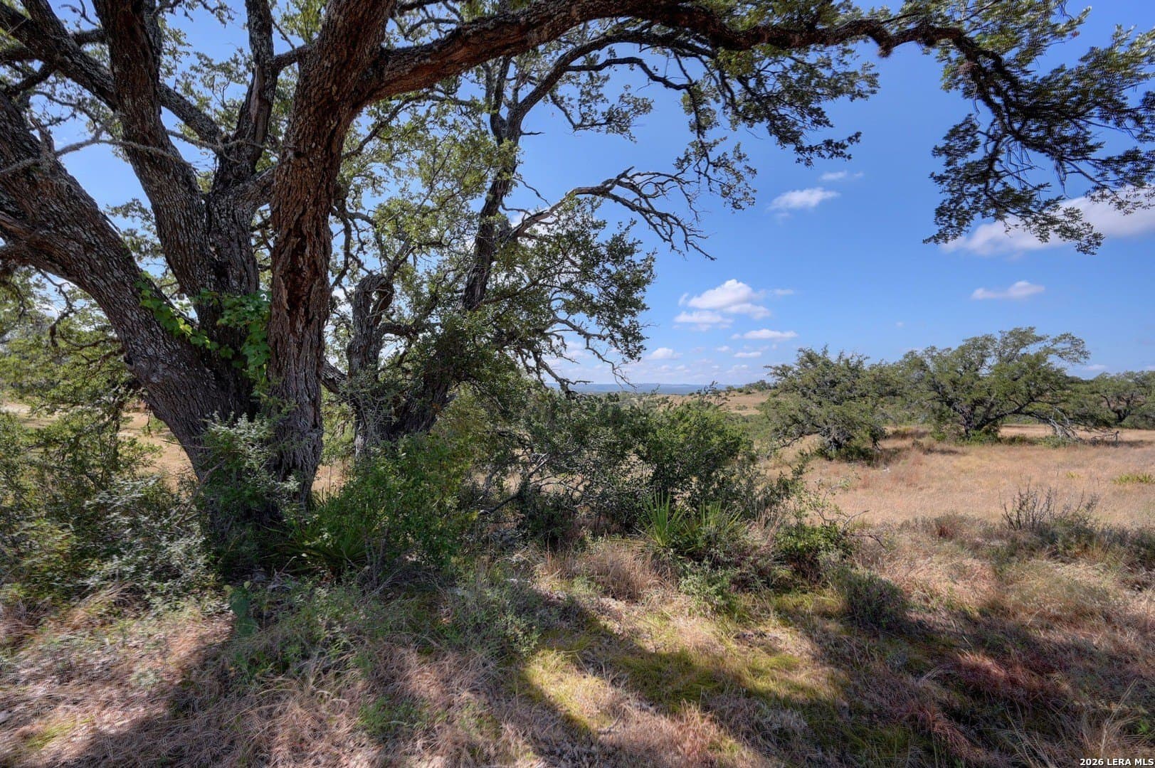 5.04 acres in Blanco County - photo 25