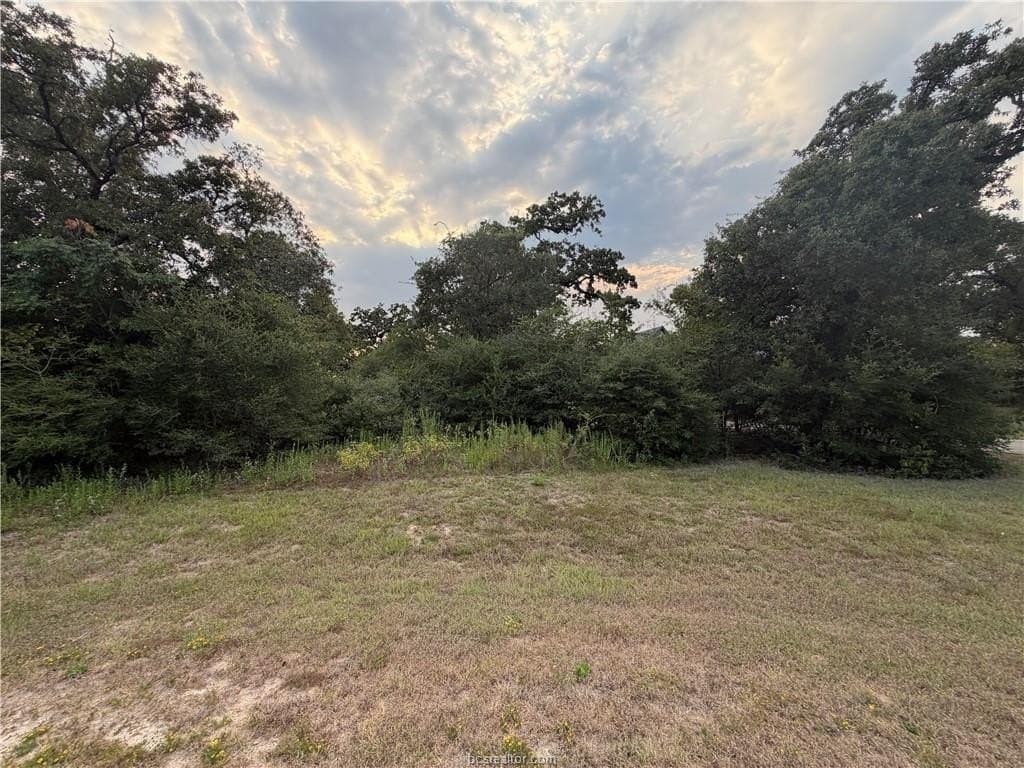 1.18 acres in Grimes County - photo 3