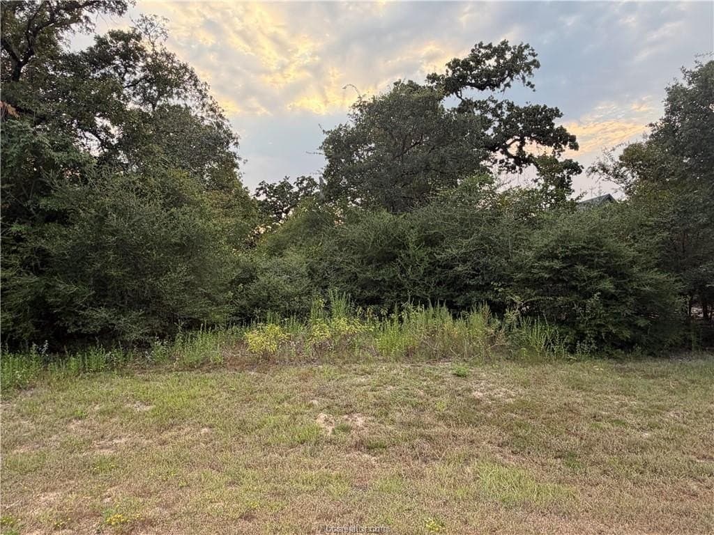 1.18 acres in Grimes County - photo 2