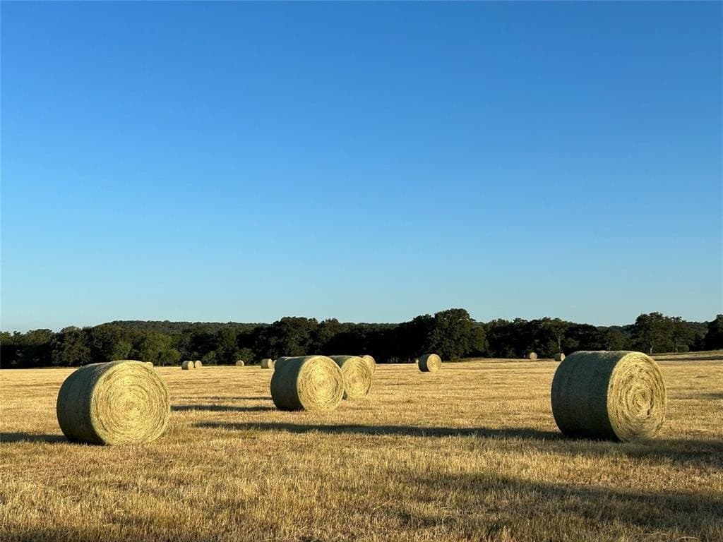 93.28 acres in Parker County