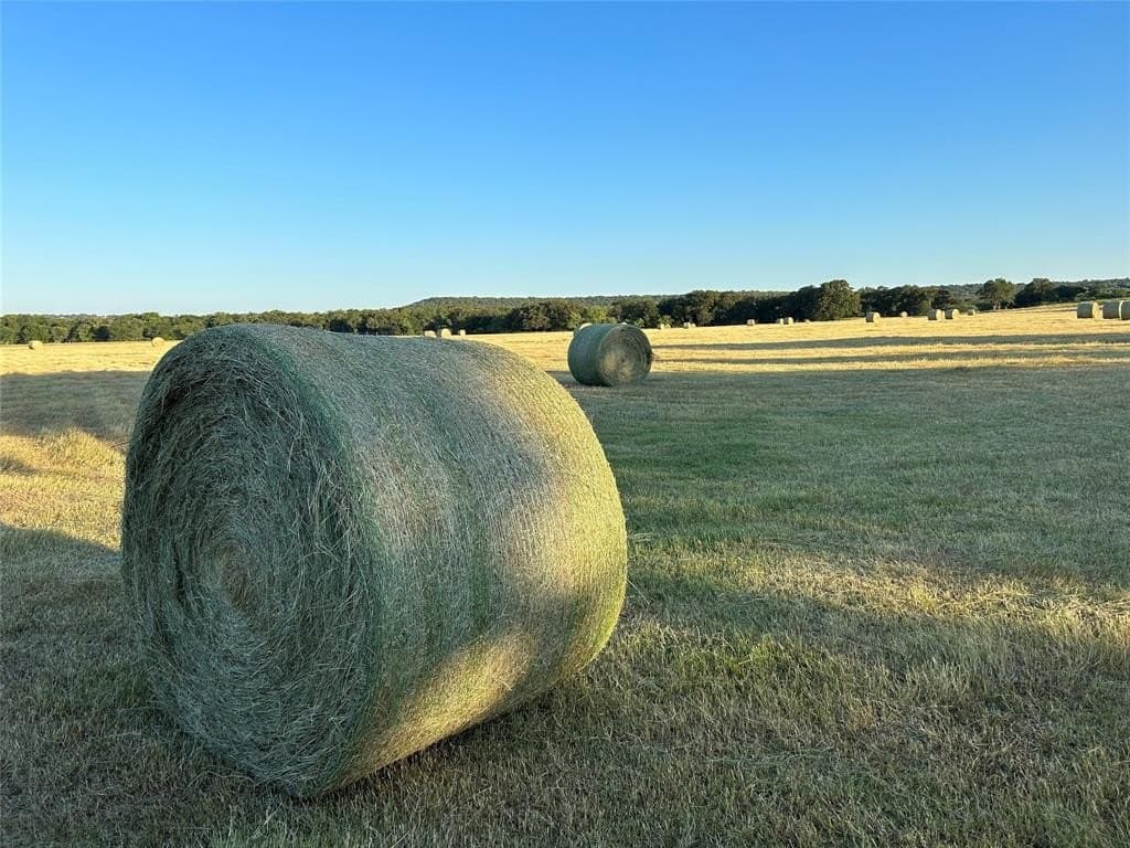 93.28 acres in Parker County gallery image 4